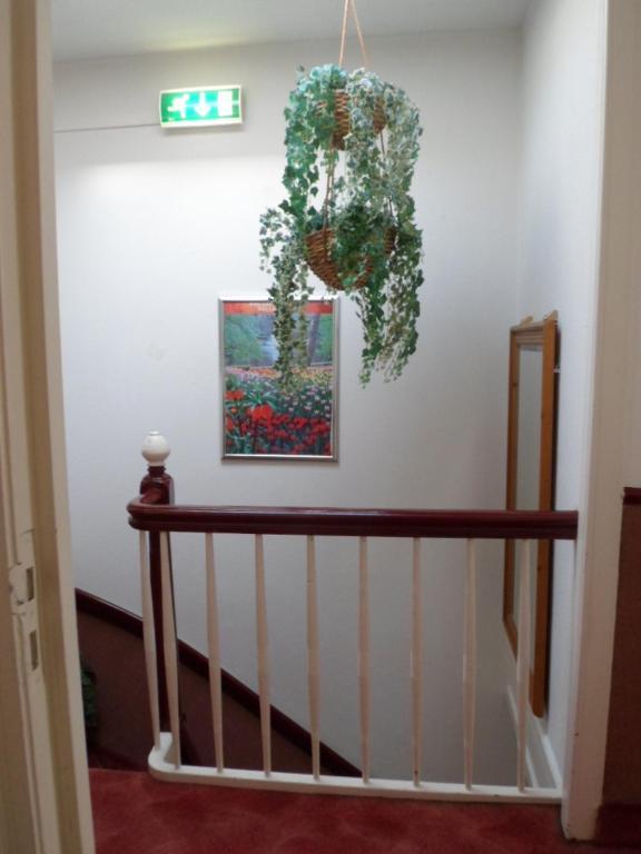 Staten Hotel Hága Kültér fotó